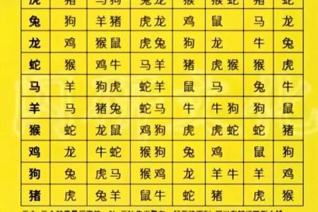 网上算命危险,网上算命安全吗