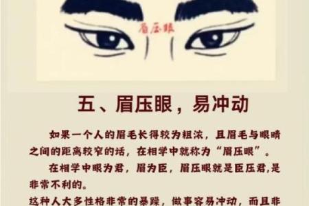 六害眉面相算命图解