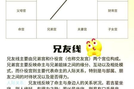 紫薇斗数看配偶样貌