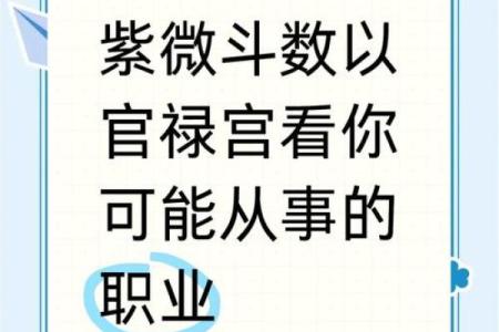 紫薇斗数适合做什么行业
