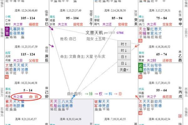 紫薇斗数身福宫