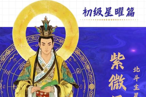 飞星紫微斗数原旨（斗数观测录）