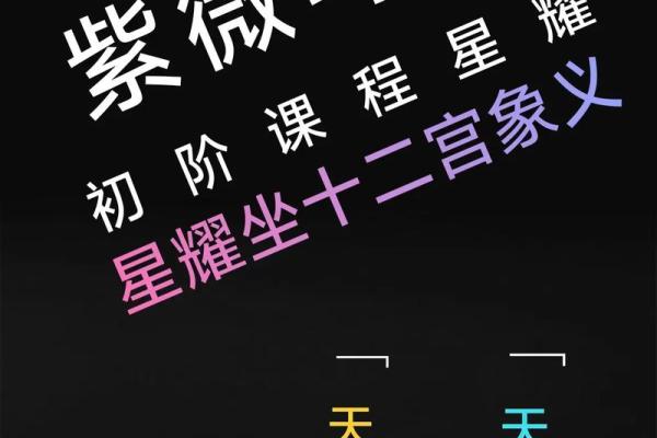 飞星紫微斗数原旨（斗数观测录）