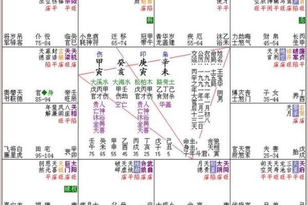 看紫薇斗数的人