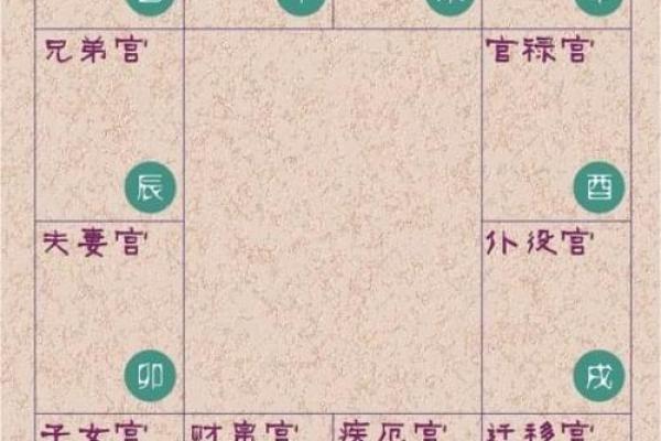 看紫薇斗数的人