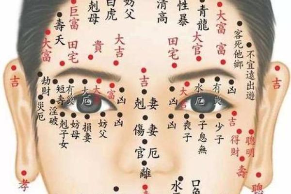 脸部黑痣算命图解 脸部黑痣算命图解