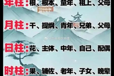 算命中的比肩是什么意思