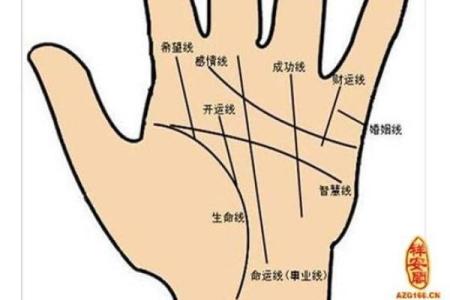 手纹算命图解【高清】