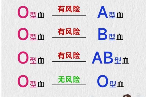 a型血和a型血会生出什么血型