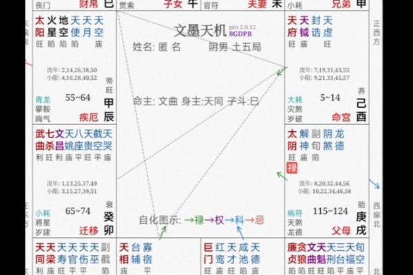 紫薇斗数看修行 紫薇斗数看修行