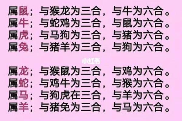 12生肖吉凶配对一览表