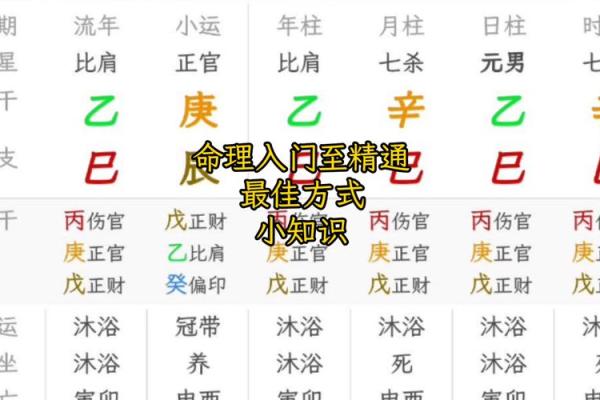 八字算命入门 八字算命入门