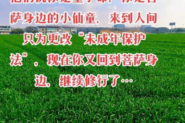 小姑子的儿子算命的说是童子命 小姑子的儿子算命的说是童子命