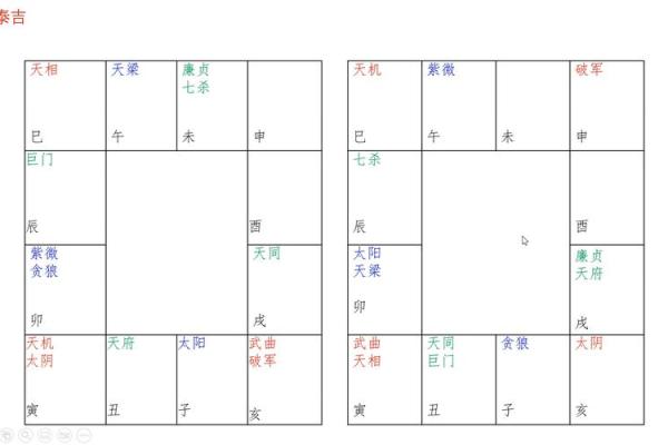 双星紫薇斗数 双星紫薇斗数