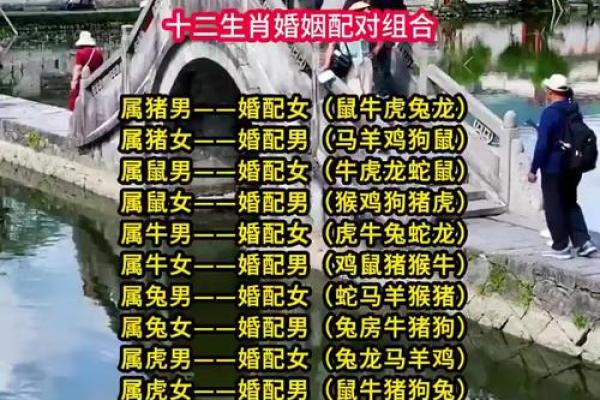 婚姻属相配对