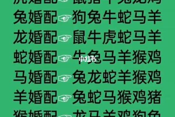 十二肖和十二生肖配对,十二生肖最佳婚配表是怎样的？