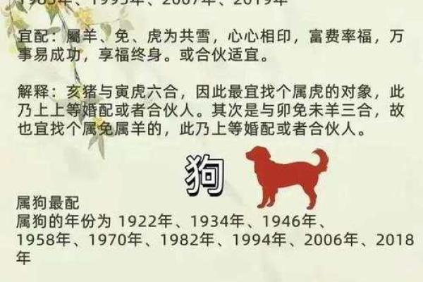 十二肖和十二生肖配对,十二生肖最佳婚配表是怎样的？
