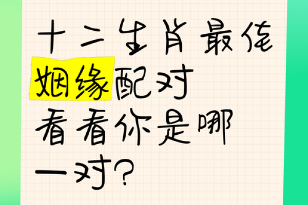 姻缘配对百分之几