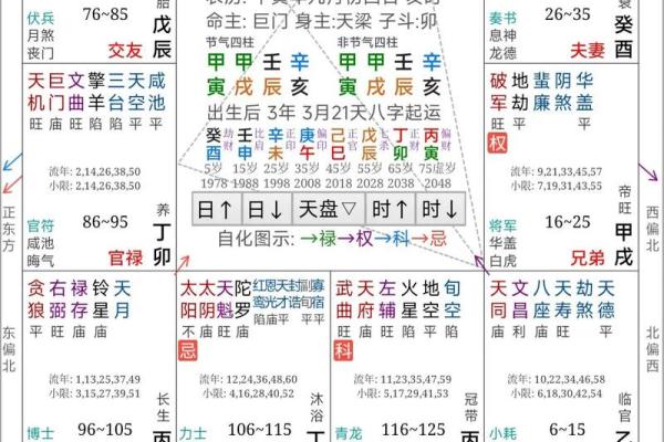 紫薇斗数运马 紫薇斗数运马