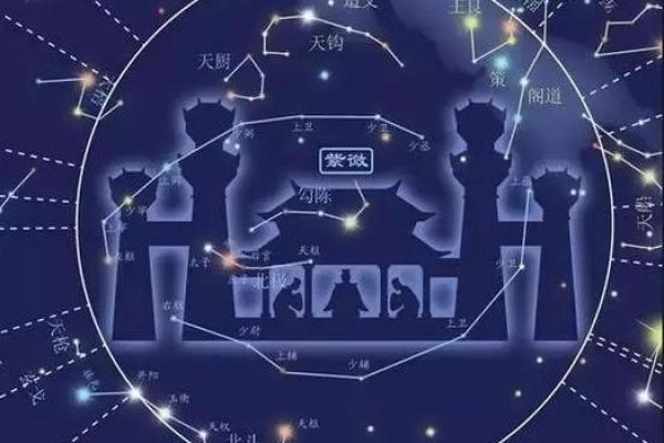 命带紫薇星是什么 命带紫薇星是什么