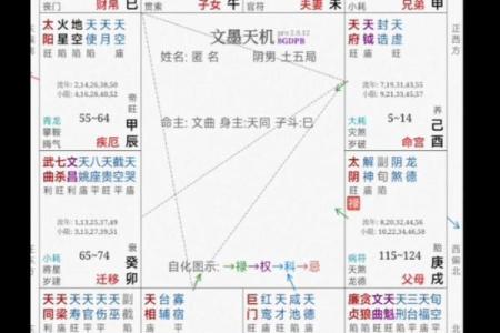 紫薇斗数看修行