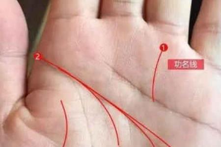 川字掌算命分析