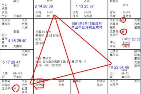 紫薇斗数桃花星6