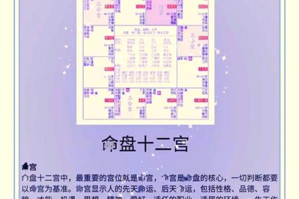戊戌年在紫薇斗数的什么宫