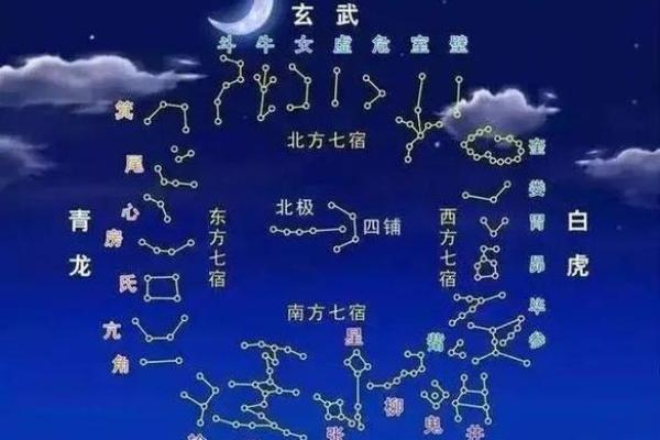 惯索紫薇斗数