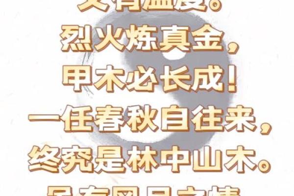 算命说的甲木命是什么