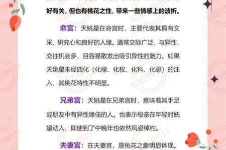 紫薇斗数不知道时辰怎么办