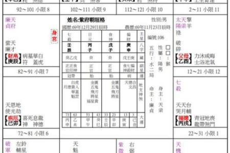 紫薇斗数每个格子什么内容