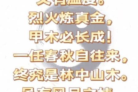 算命说的甲木命是什么