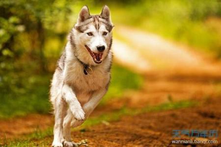 梦见月老是什么意思