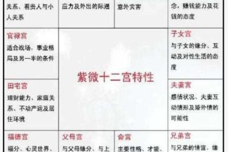 紫薇斗数旬空夫妻宫