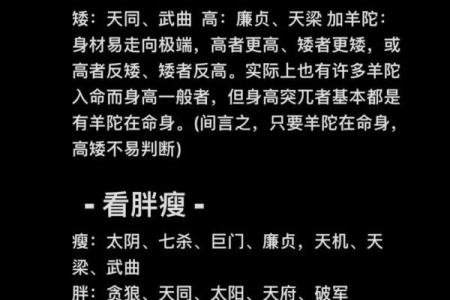 紫薇斗数可以看什么