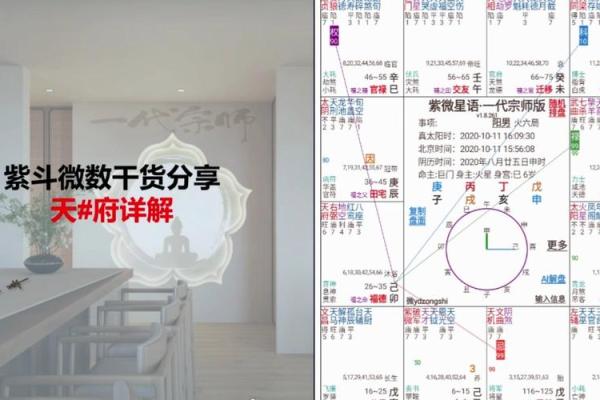 紫微斗数诸星落诸宫之:天府星兄弟宫详解 紫微斗数诸星落诸宫之:天府星兄弟宫详解