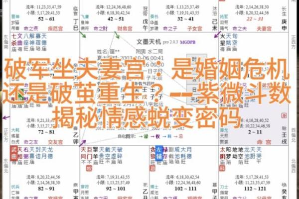 紫薇斗数医生
