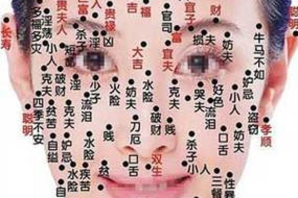 面相算命图解十二宫之：命宫