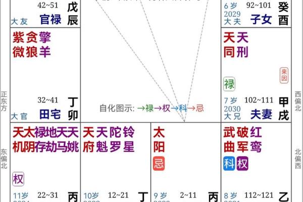 加紫薇斗数术语