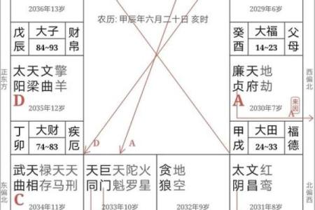 紫薇斗数身宫在哪