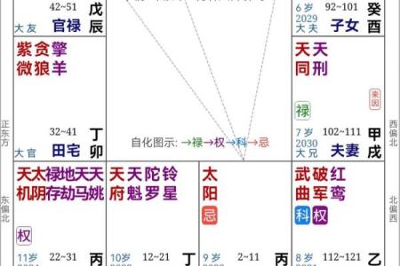 加紫薇斗数术语