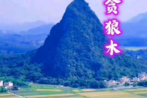 紫薇斗数夹主星
