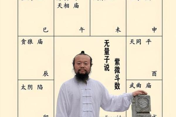 紫薇星坐田宅宫男命