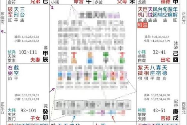 紫薇斗数排盘科权是什么意思