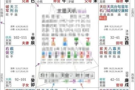 紫薇斗数排盘科权是什么意思