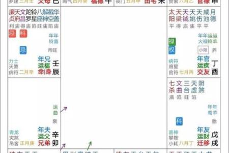 紫薇斗数科星