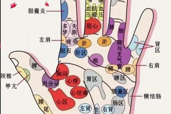 手相算命：健康