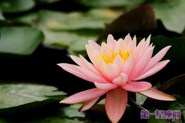 风水女人被鬼附身怎么办解答