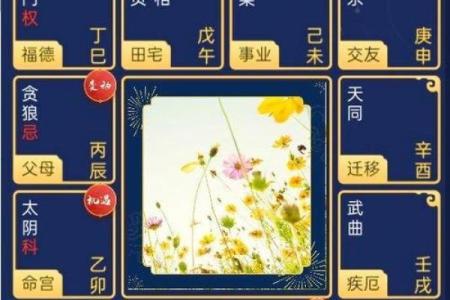紫薇斗数将星